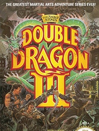 Double Dragon III — The Sacred Stones (Двойной Дракон 3 — Священные камни)