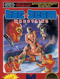 Tag Team Wrestling (Командный Реслинг)