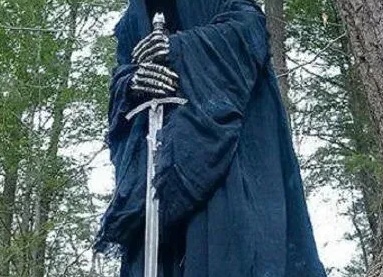 Ring King (Кольцо короля)